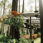 Cobain Lapinea Cafe & Resto, Kafe Bunga Cantik di Bandung