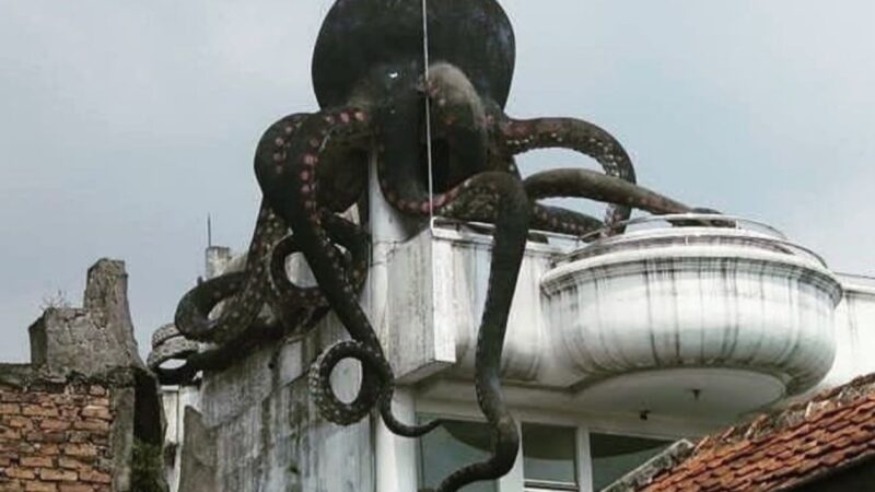 Misteri Rumah Gurita Bandung: Antara Urban Legend, Ketakutan Kolektif, dan Daya Tarik Kota