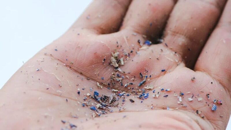 MIKROPLASTIK : ANCAMAN KECIL YANG DIAM DIAM MENGUASAI KEHIDUPAN KITA