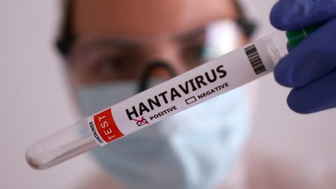 Waspada Hantavirus dari Tikus, Kemenkes Laporkan 3 Korban Jiwa