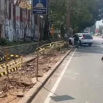 Penebangan Pohon Ilegal Kembali Terjadi di Bandung, Ada Apa?