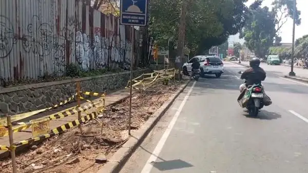 Penebangan Pohon Ilegal Kembali Terjadi di Bandung, Ada Apa?