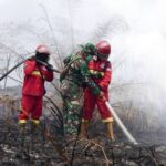Menghirup Janji di Tengah Asap Karhutla: Menguji Ketegasan Hukum dan Inovasi ‘Dry Ice’ di Tanah Kalimantan