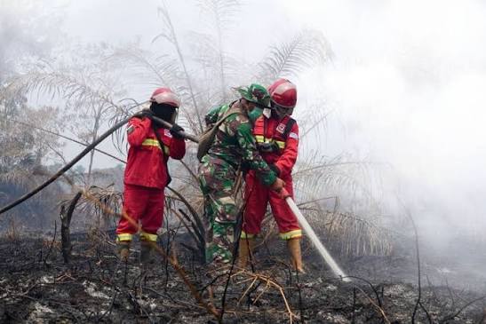 Menghirup Janji di Tengah Asap Karhutla: Menguji Ketegasan Hukum dan Inovasi ‘Dry Ice’ di Tanah Kalimantan