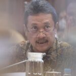Stop Ekspor Benih Lobster Selamanya: Melindungi Kekayaan Bahari dan Kedaulatan Nelayan Lokal