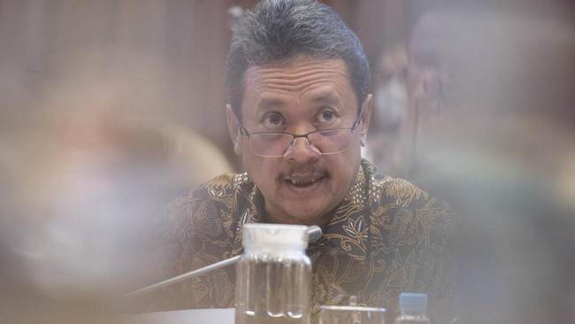 Stop Ekspor Benih Lobster Selamanya: Melindungi Kekayaan Bahari dan Kedaulatan Nelayan Lokal